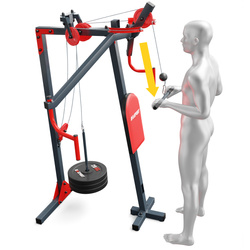 ATLAS DO ĆWICZEŃ butterfly  MFX002