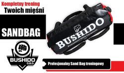 SANDBAG BUSHIDO, SAND BAG, FITNESS 35 KG 