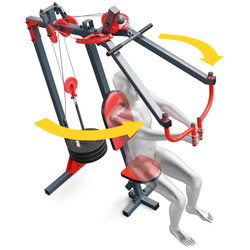 ATLAS DO ĆWICZEŃ butterfly  MFX002