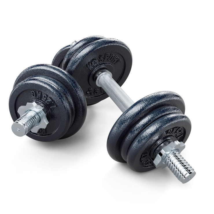 ZESTAW 24 KG GRYF KRÓTKI HANTLA 12 KG x 2 - 24 kg